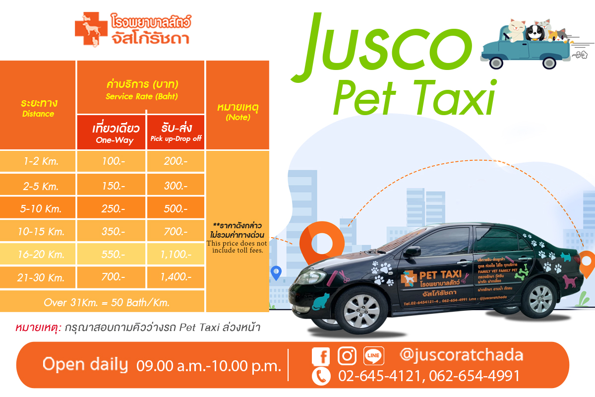 บริการรถ Pet Taxi Jusco Ratchada Animal Hospital